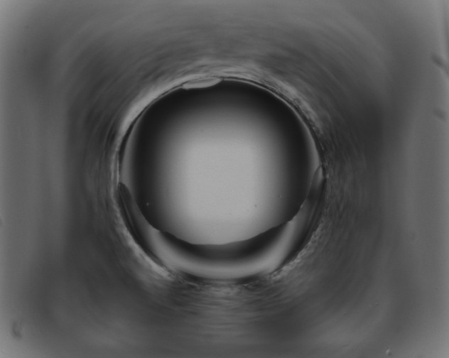 X0000093761520200710161213