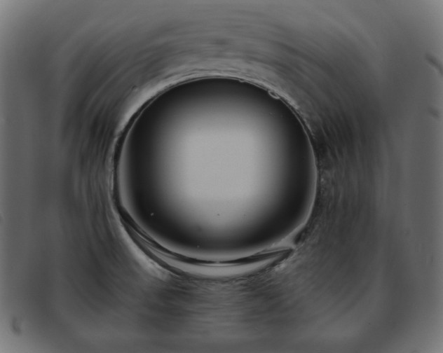 X0000093761523200710161213