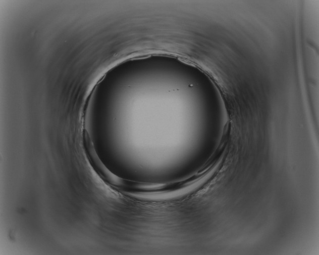 X0000093761524200710161213