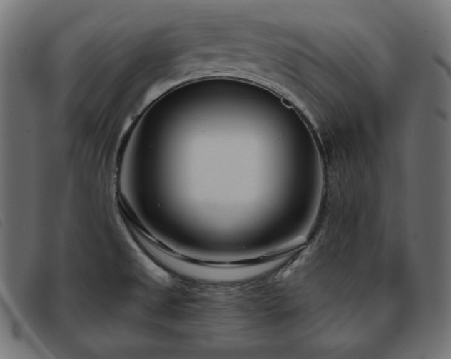 X0000093761525200710161213