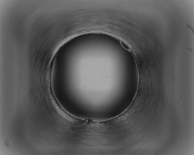 X0000093761526200710161213