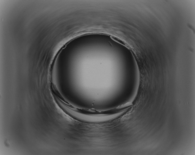 X0000093761527200710161213