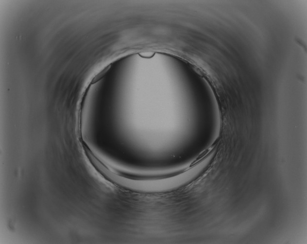 X0000093761528200710161213