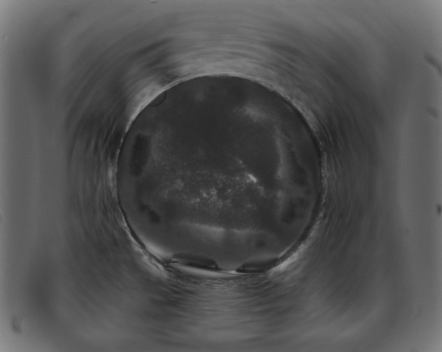 X0000093761529200710161213