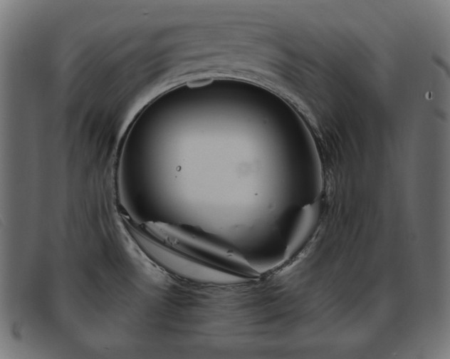 X0000093761530200710161213