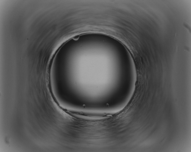X0000093761531200710161213