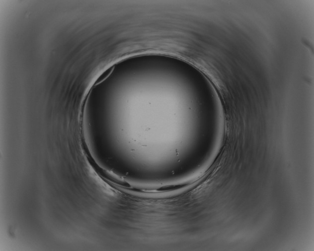 X0000093761532200710161213