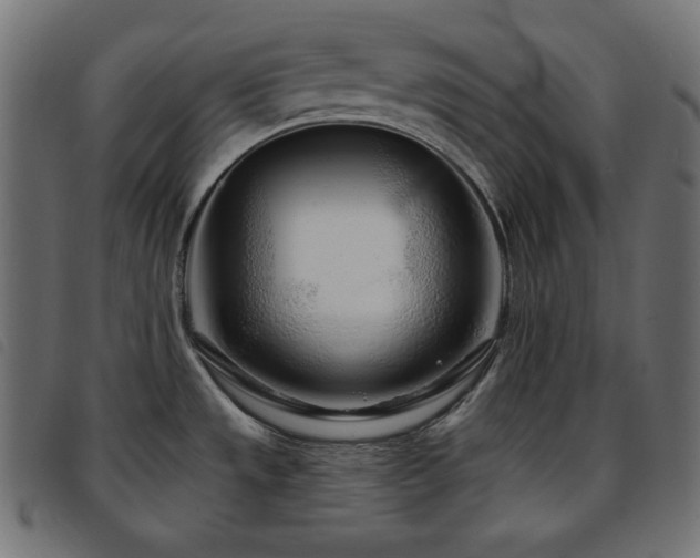 X0000093761533200710161213