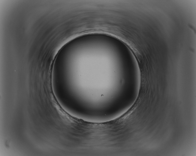X0000093761534200710161213