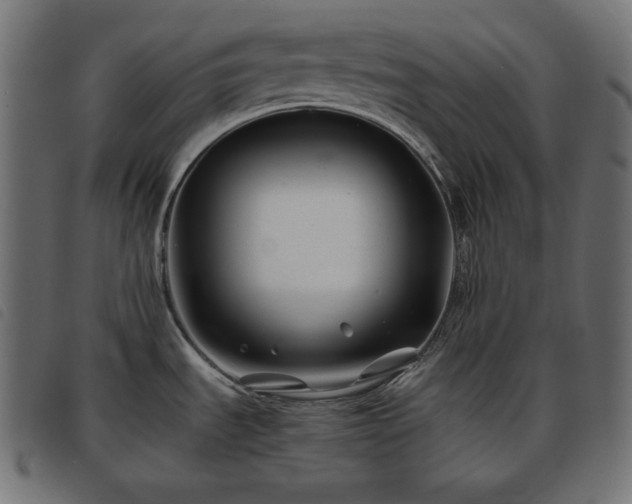 X0000093761535200710161213