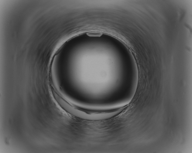 X0000093761536200710161213