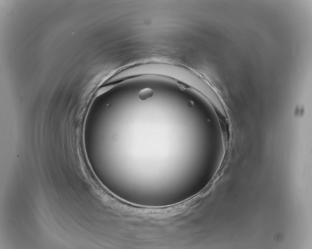 X0000093760001200710231302