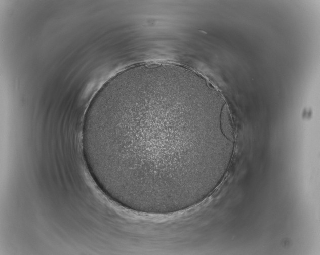 X0000093760002200710231302