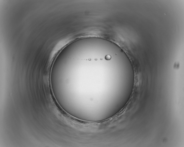 X0000093760004200710231301