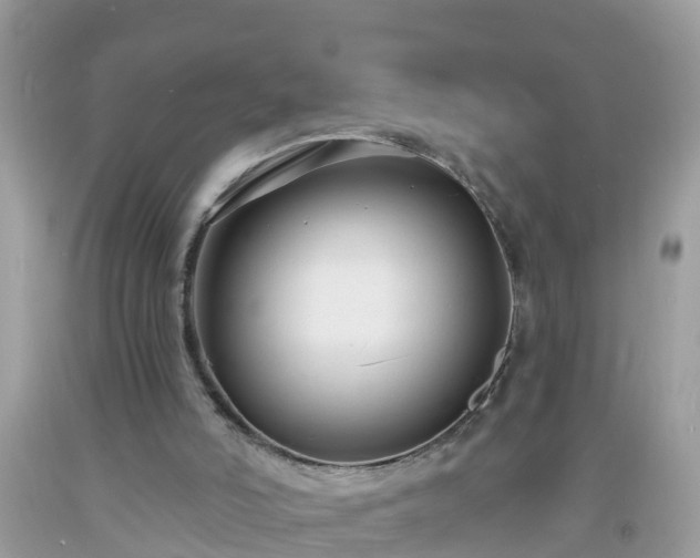 X0000093760006200710231301