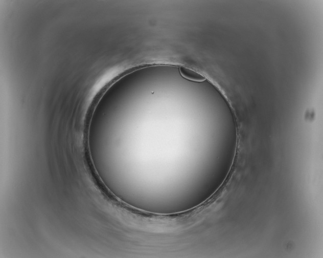 X0000093760008200710231301