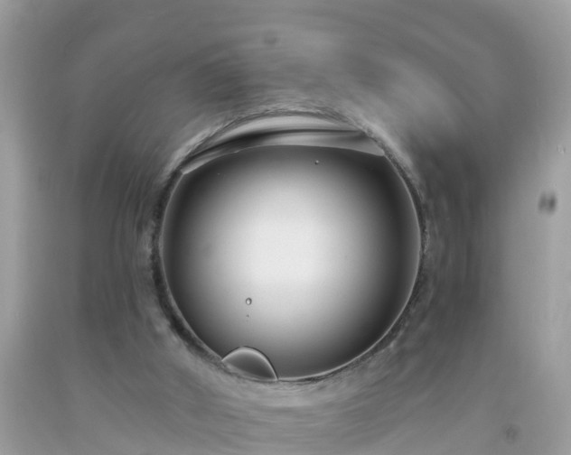 X0000093760010200710231301