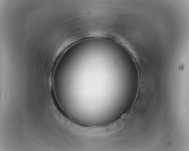 X0000093760011200710231301