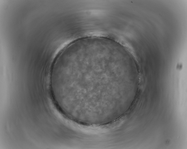 X0000093760012200710231301