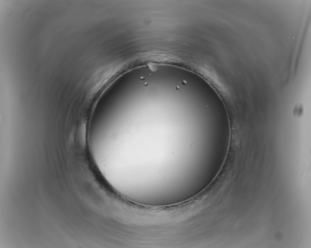 X0000093760014200710231301