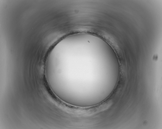 X0000093760016200710231301