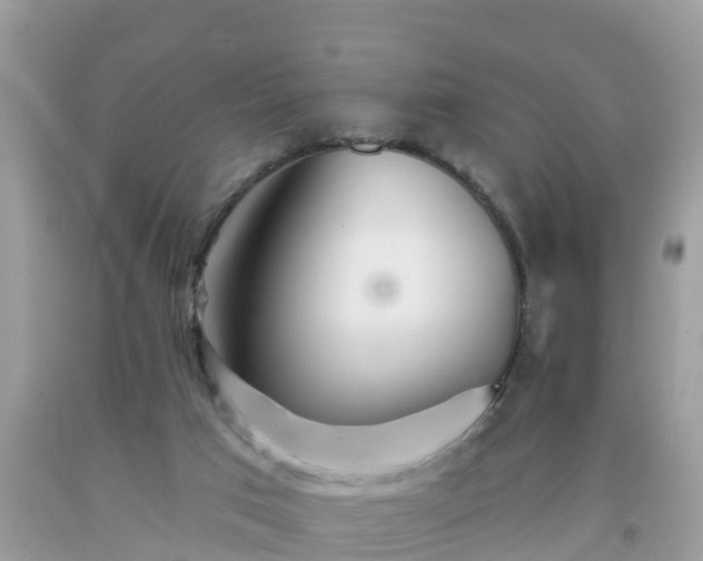 X0000093760017200710231301