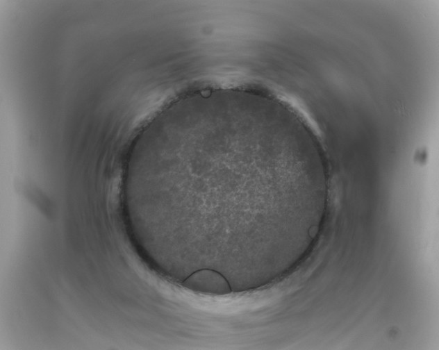 X0000093760018200710231301