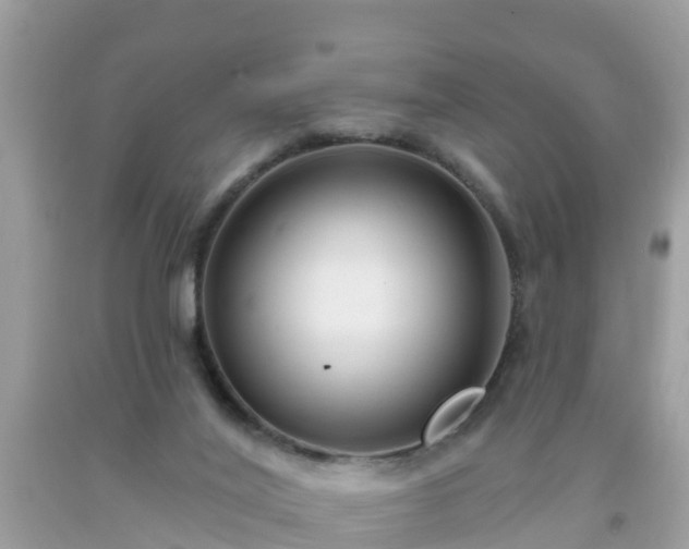 X0000093760020200710231301