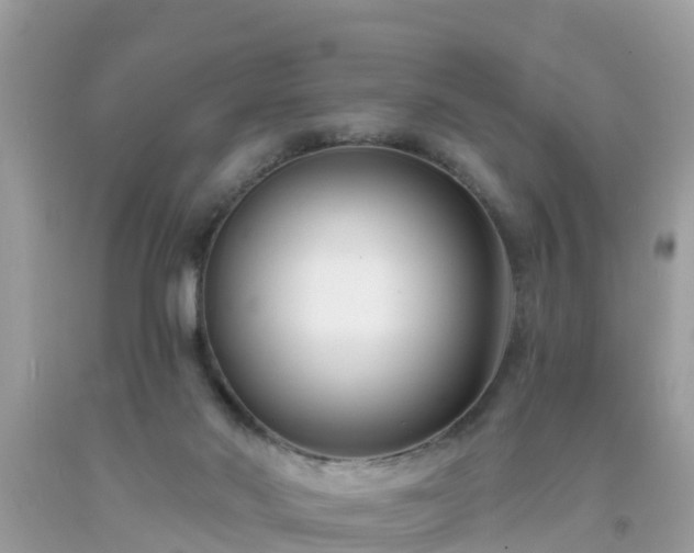 X0000093760022200710231301