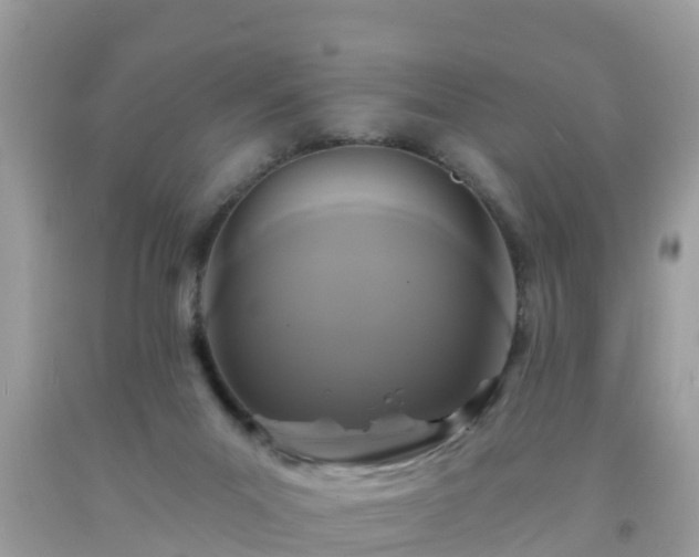 X0000093760023200710231301