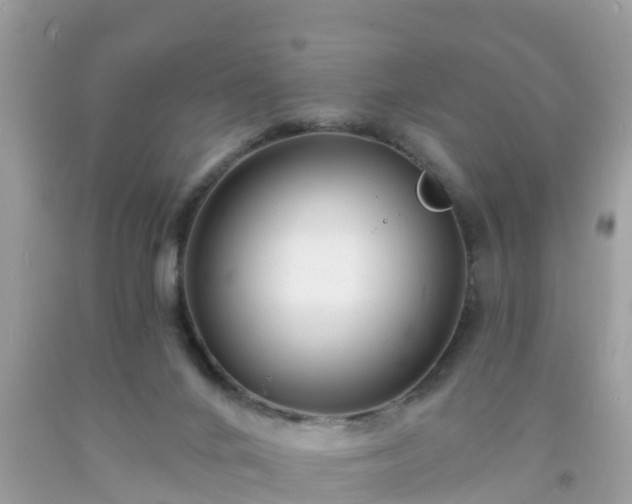 X0000093760024200710231301