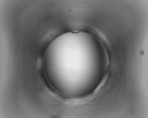 X0000093760025200710231301