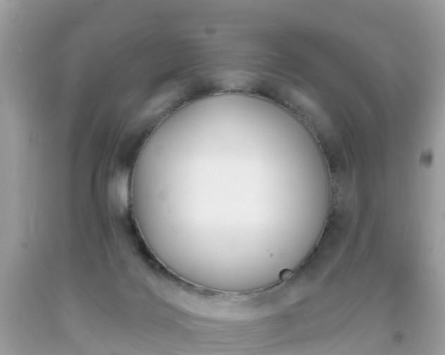 X0000093760028200710231301