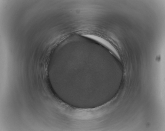 X0000093760029200710231301