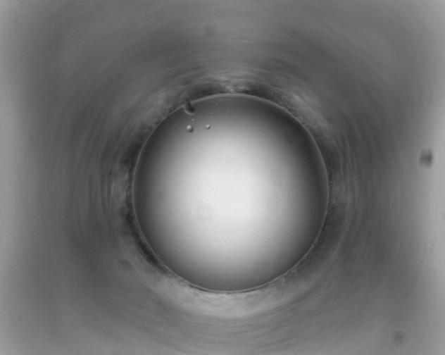 X0000093760030200710231301