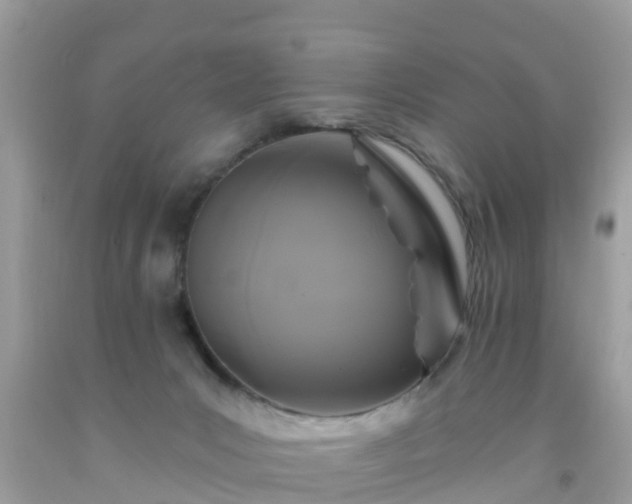 X0000093760031200710231301