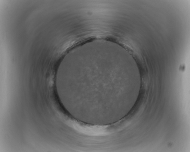 X0000093760032200710231301