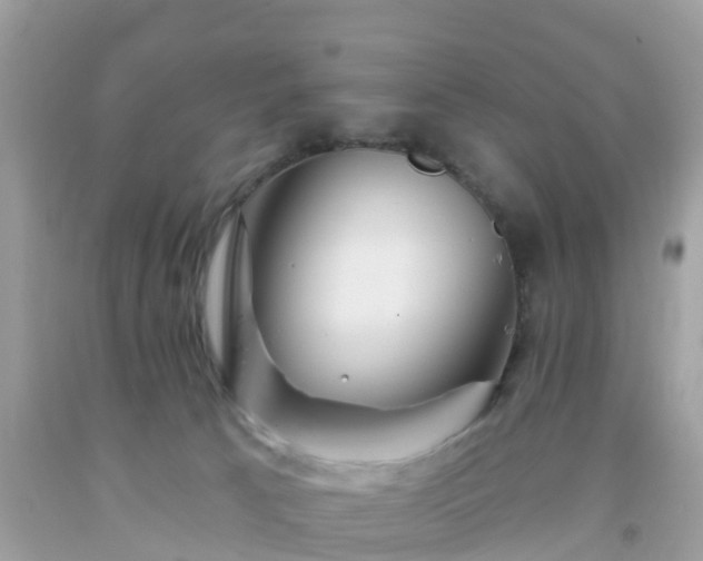 X0000093760033200710231301