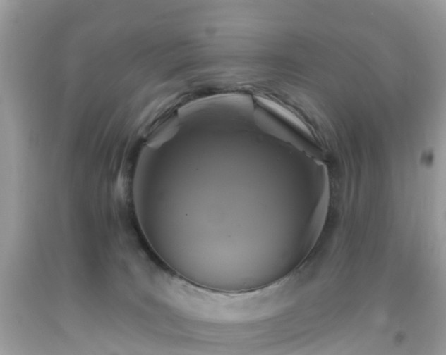 X0000093760035200710231301