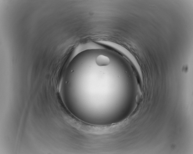 X0000093760037200710231301