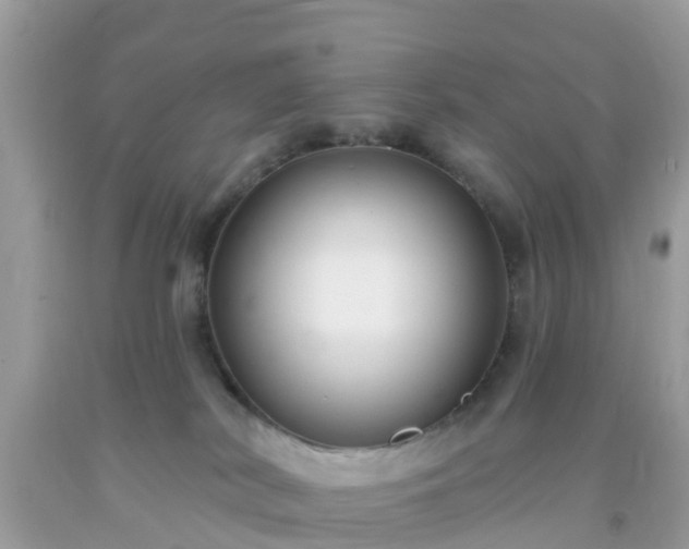 X0000093760038200710231301