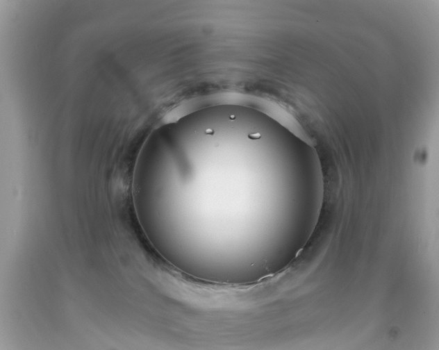 X0000093760040200710231301