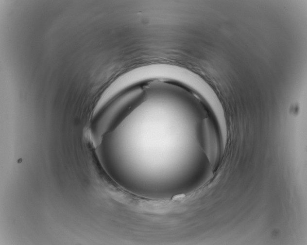 X0000093760041200710231301