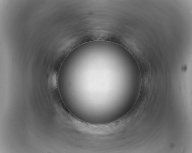 X0000093760042200710231301