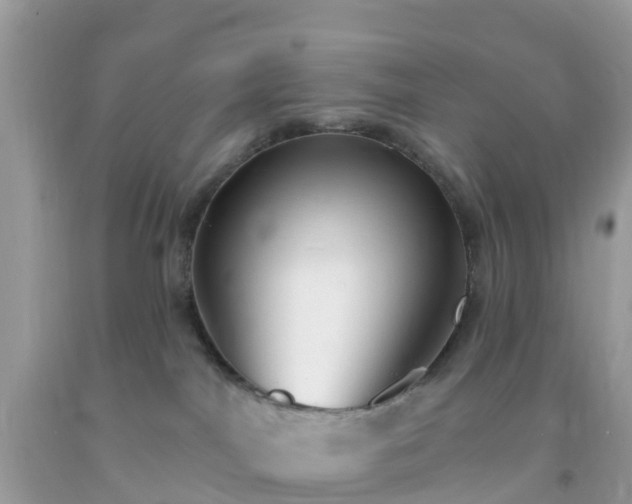 X0000093760044200710231301