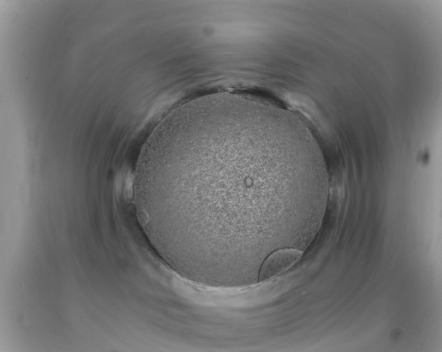 X0000093760046200710231301