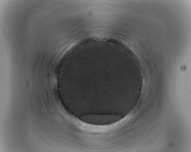 X0000093760048200710231301