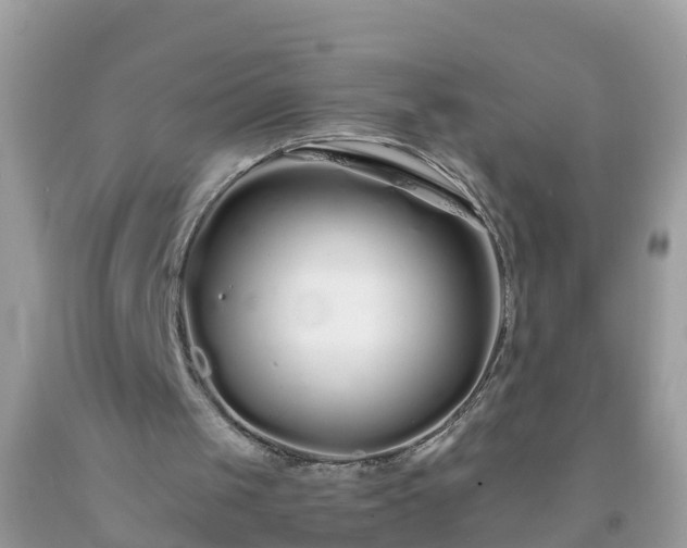 X0000093760049200710231300