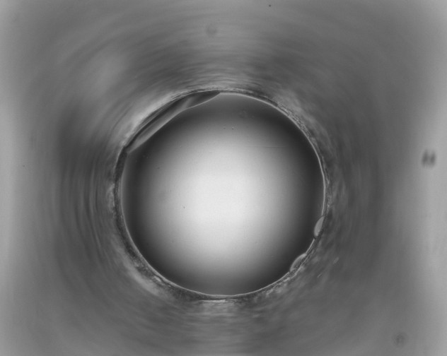 X0000093760050200710231300