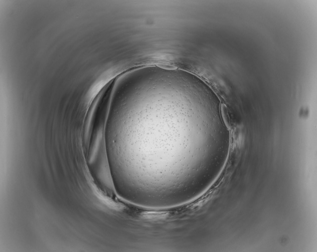 X0000093760051200710231300